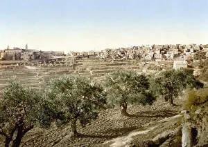 General view of the well of David