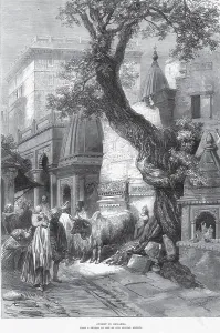General View Street in Benares, Varanasi, Uttar Pradesh, India, Asia