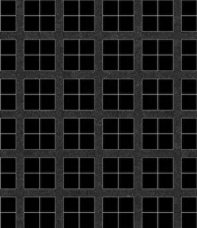 A geometric pattern featuring a grid of black squares with white lines and a symmetrical design
