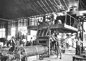 German palm oil factory, 1935, in Cameroon