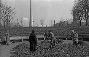 Germany, Berlin, 14. 03. 1991, flowerbed at the Marx-Engels-Forum