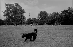 Germany, Berlin, 18.06.1991, Monbijou Park