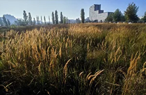 Germany, Berlin, 20.10.1991, Potsdamer Platz