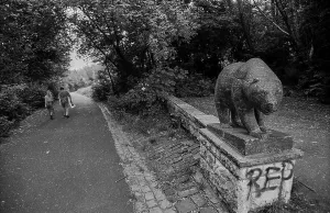 Germany, Berlin, 27 June 1991, bear