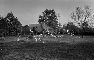 Germany, Berlin, 28.10.1992, Monbijoupark