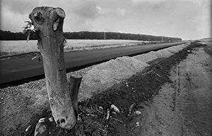 Germany, Eixen, 16.9.1991, road under construction