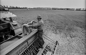 Germany, Eixen, 16.9.1991, tractor driver