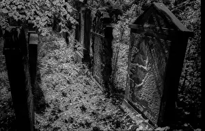 Germany, Halle, 5.8.1992, Jewish cemetery in Halle