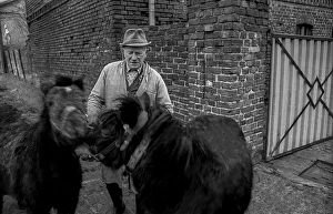 Germany, Kampehl, 01/02/1992, farmer with two horses, ponies, in Kampehl, Europe