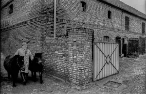 Germany, Kampehl, 01/02/1992, farmer with two horses, ponies, in Kampehl, Europe