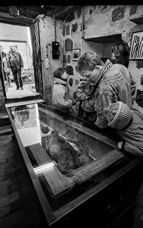 Germany, Kampehl, 01.02.1992, Mummy of the knight Kahlputz in Kampehl, Europe