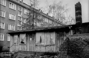 Germany, Muencheberg, 4 January 1991
