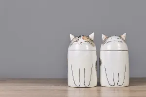 Germany, October 2023: Two custom made cat pet urns on table