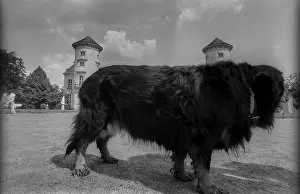 Germany, Rheinsberg, 30.05.1992