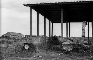 Germany, Trinwillershagen, 16.9