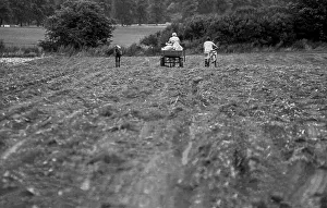 Germany, Trinwillershagen, 16.9