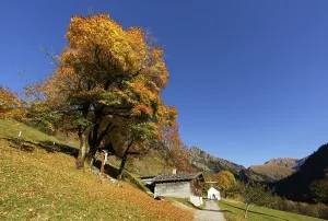 Category Mountain Landscapes Prints: Gerstruben in autumn, Allgaeu Alps