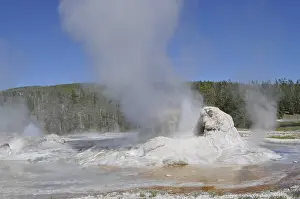A geyser emits steam surrounded by rocks and natural landscape