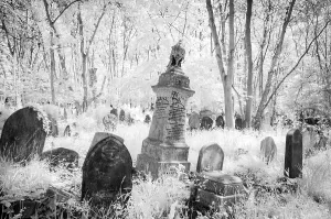 Ghostly graves in Highgate Cemetery London in black and white