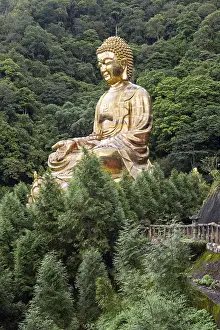 Giant copper buddha statue, shot at Jeng De temple