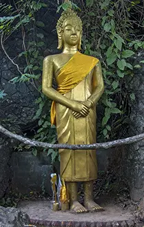 Gilded Buddha Statue stands in a tropical forest