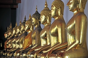 Gilded Buddha statues, Bhumispara-mudra, Gautama Buddha at the moment of enlightenment, Wat Pho, Bangkok, Thailand, Asia, PublicGround, Asia