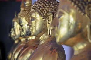 Gilded Buddha statues, Bhumispara-mudra