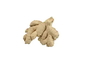 Ginger (Zingiber officinale), cropped