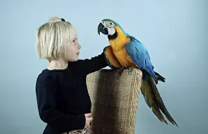 Girl with blue and yellow macaw (Ara ararauna)