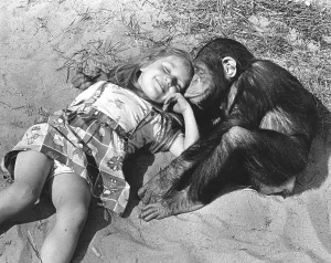 Girl and chimpanzee cuddling on the beach
