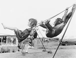 Girl and chimpanzee swing, England, Great Britain