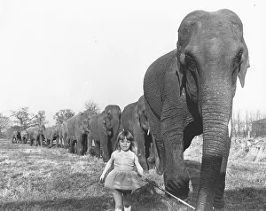 Girl with elephants, England, Great Britain
