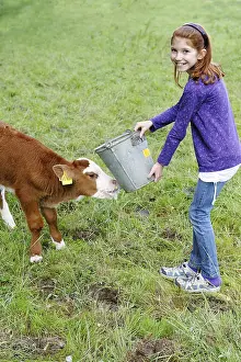 Girl feeding a newborn calf in a meadow