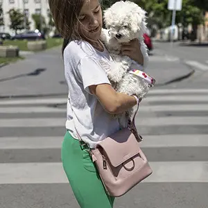A girl holding a small white poodle while standing on a crosswalk in a sunny urban setting