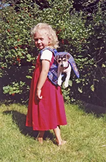 Girl with Jack Russell Terrier in her backpack