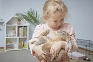 The girl keeps a domestic rabbit