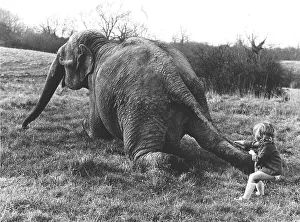 Girl pulls elephant on tail, England