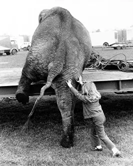 Girl pushes elephant, England, Great Britain