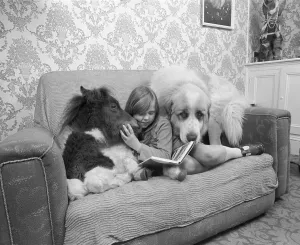 Girl sits with a donkey and a dog on the sofa and reads
