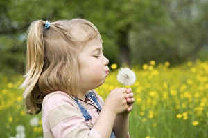 Girl sitting on a meadow holding a dandelion clock