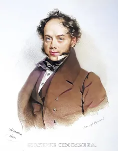 Giuseppe Ciccimarra (22 May 1790 - 5 December 1836) was an Italian tenor