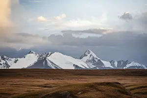 Glaciated and snow-capped mountains
