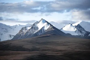 Glaciated and snow-covered mountains