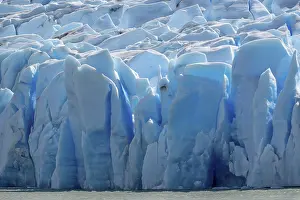 Glacier, Lago Grey, Torres del Paine National Park