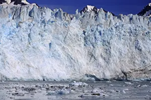 Glacier front and mountains, seals lying on ice