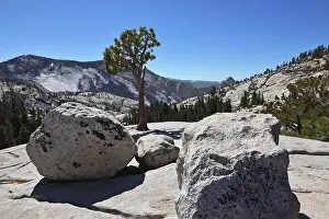 The glade shined by the sun at top of mountain