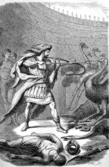 Gladiator Commodus fights ostriches in the circus