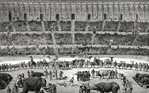 Gladiators fighting animals, reconstruction of the Amphitheatre of Pompeii