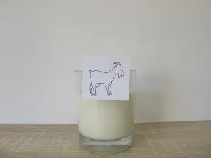 A glass of fresh goat's milk<br> A glass of fresh goat's milk
