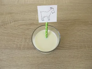 A glass of fresh goat's milk<br> A glass of fresh goat's milk